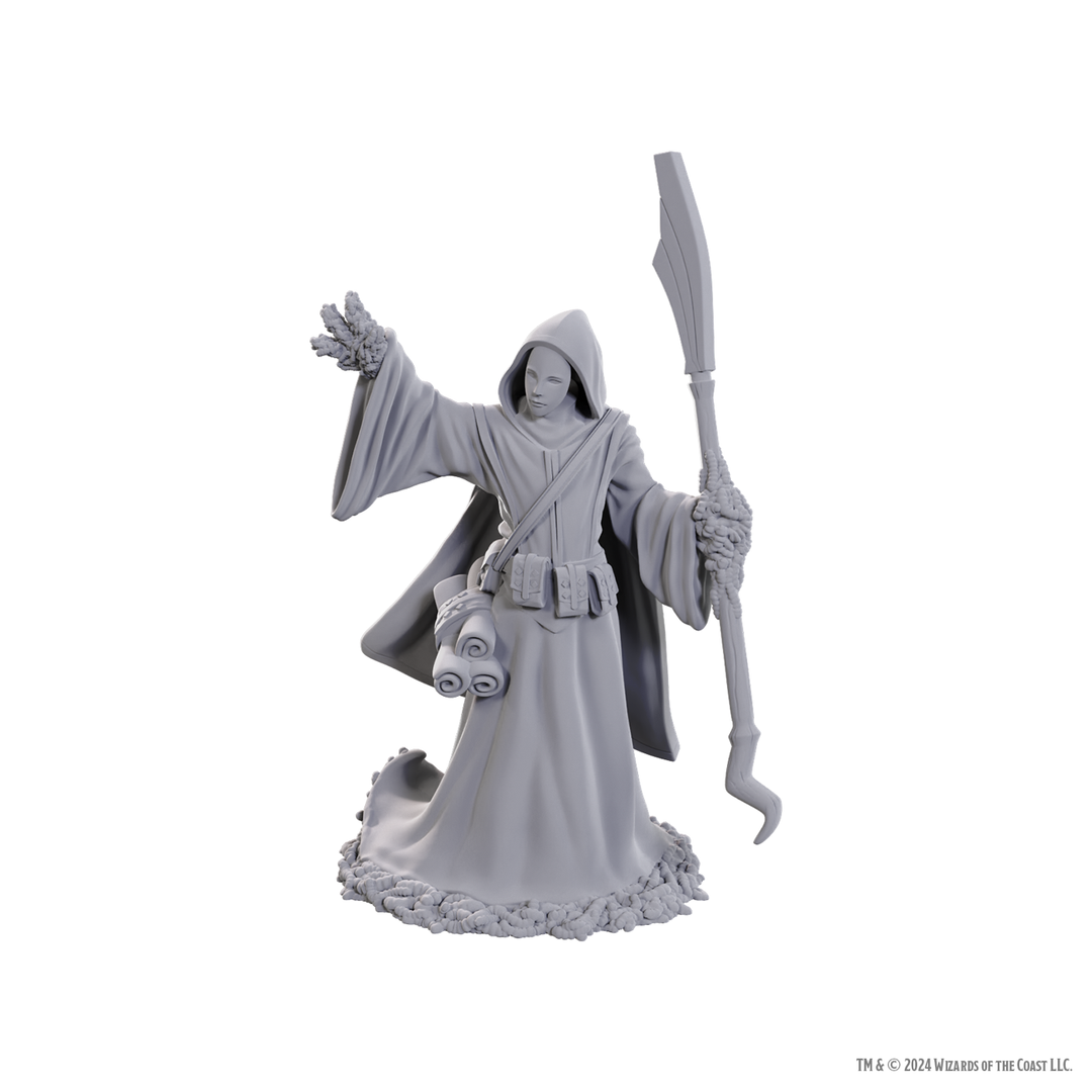 Dungeons & Dragons - Nolzur's Marvelous Miniatures: Star Spawn Larva Mage