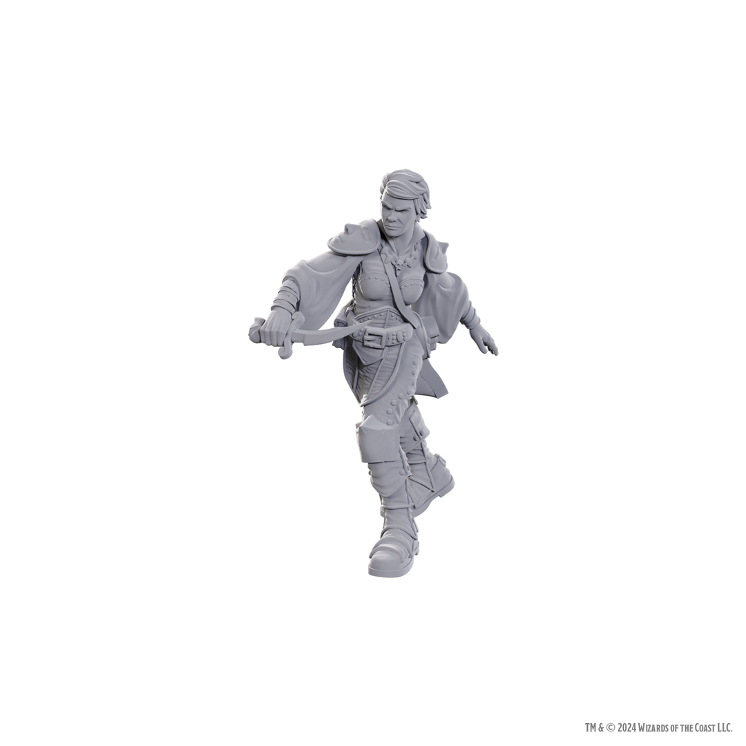Dungeons & Dragons - Nolzur's Marvelous Miniatures: Swashbuckler