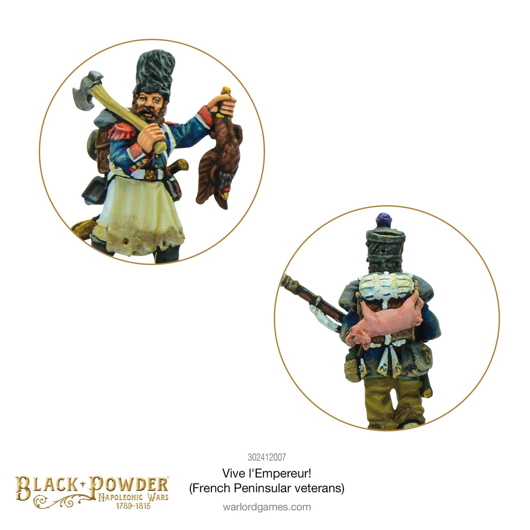 Black Powder: Napoleonic Wars - Vive l'Empereur! (French Peninsular veterans)