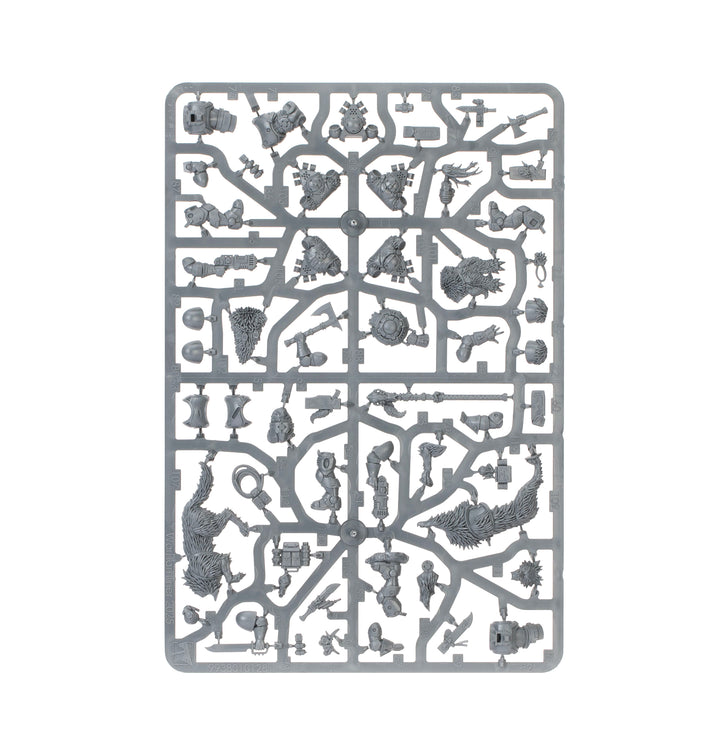 Warhammer 40,000: Kill Team - Wolf Scouts