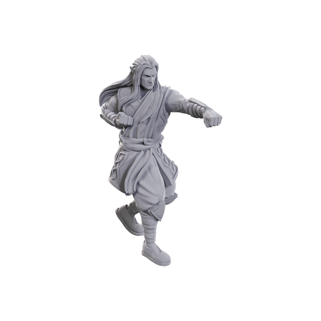 Dungeons & Dragons - Nolzur's Marvelous Miniatures: Archdruid & Martial Arts Adept