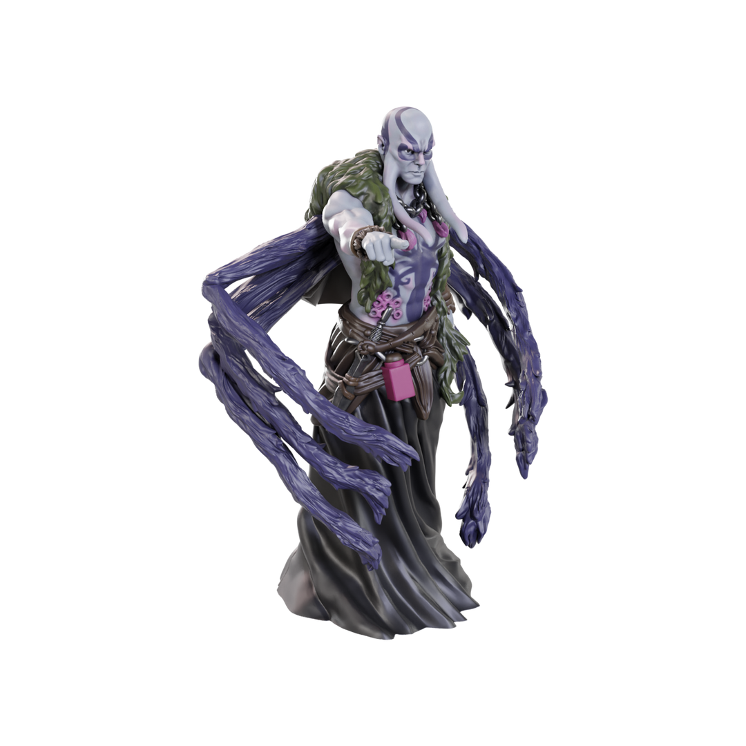 Dungeons & Dragons - Nolzur's Marvelous Miniatures: Kraken Priest