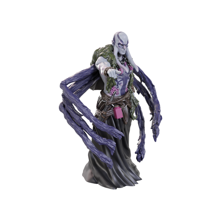 Dungeons & Dragons - Nolzur's Marvelous Miniatures: Kraken Priest