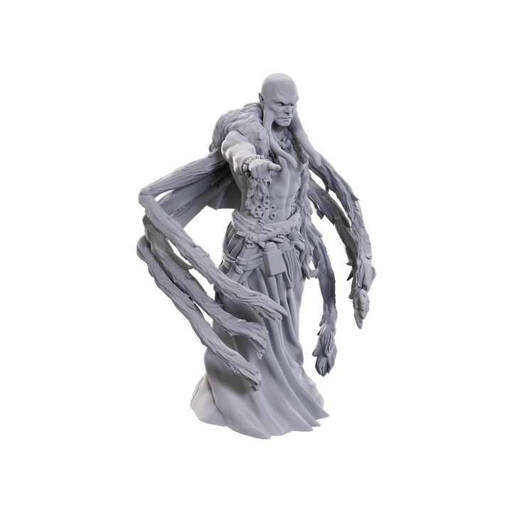 Dungeons & Dragons - Nolzur's Marvelous Miniatures: Kraken Priest