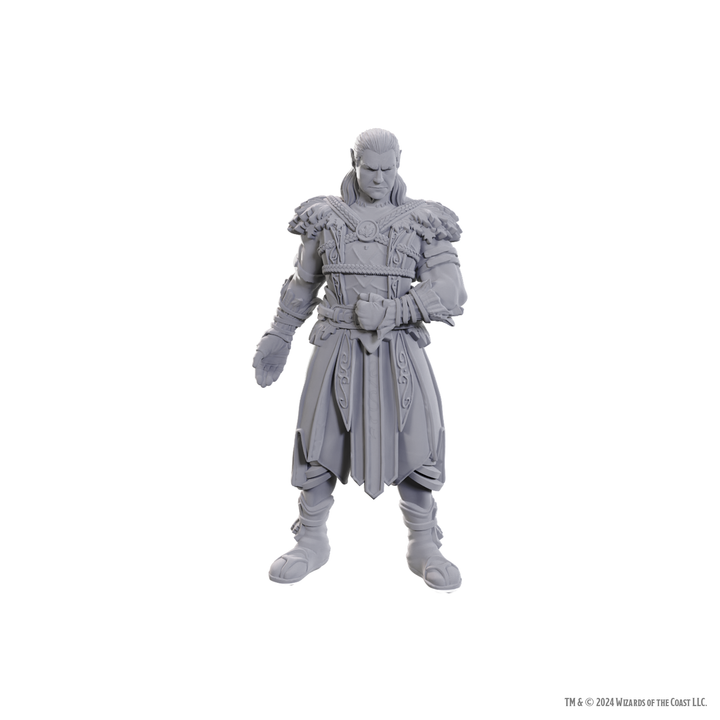 Dungeons & Dragons - Nolzur's Marvelous Miniatures: Jaheira & Halsin