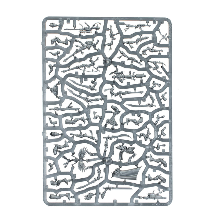 Warhammer 40,000: Aeldari - Corsair Voidreavers