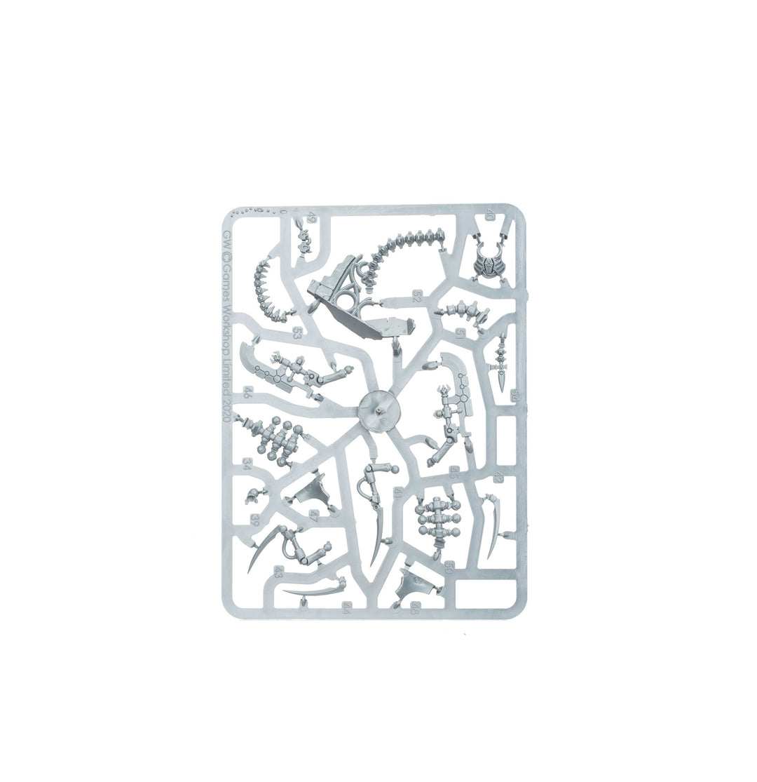 Warhammer 40,000: Necron Battleforce Host