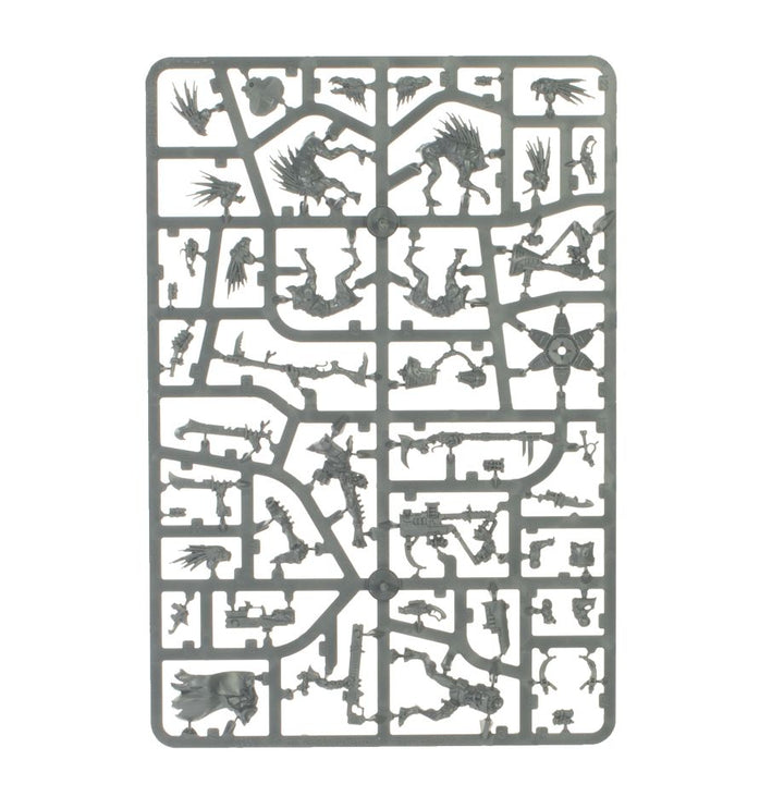 Warhammer 40,000: Combat Patrol - Kroot