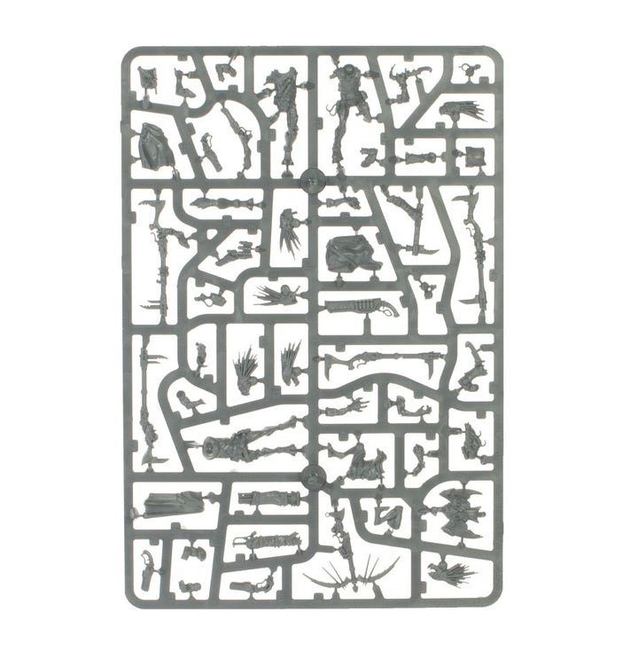 Warhammer 40,000: Combat Patrol - Kroot