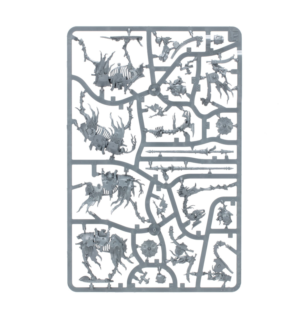 Warhammer Age of Sigmar: Soulblight Gravelords – Deathrattle Tomb Host Spearhead