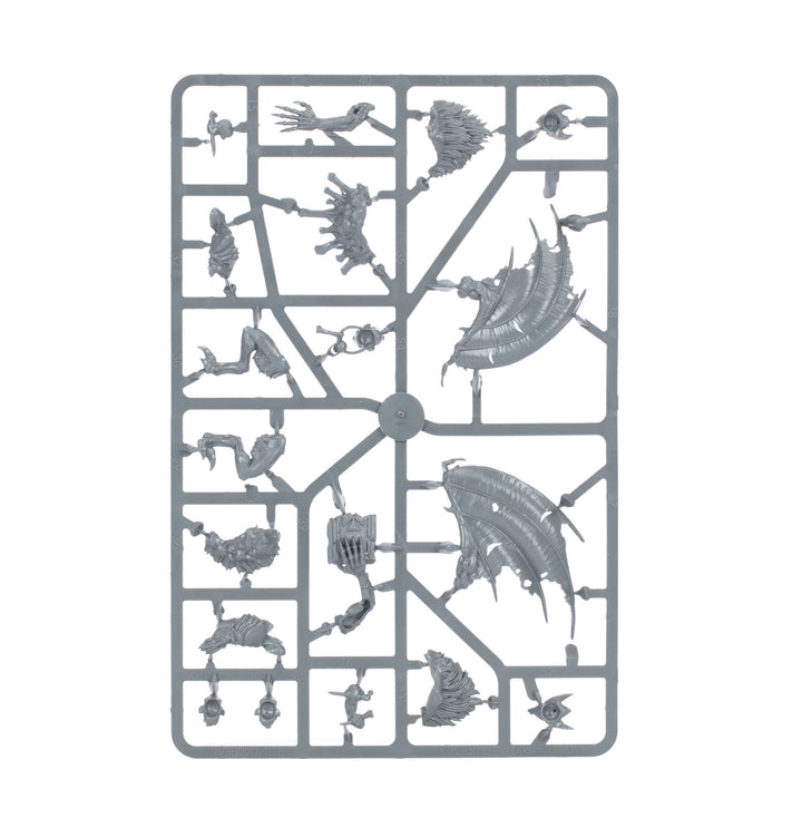 Warhammer Age of Sigmar: Flesh-eater Courts - Charnel Watch Spearhead