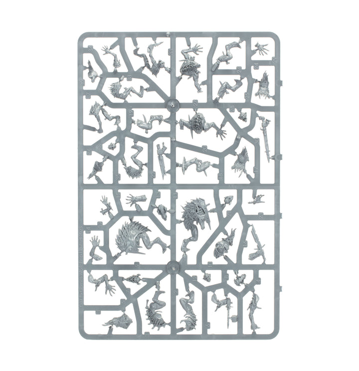 Warhammer Age of Sigmar: Flesh-eater Courts - Charnel Watch Spearhead