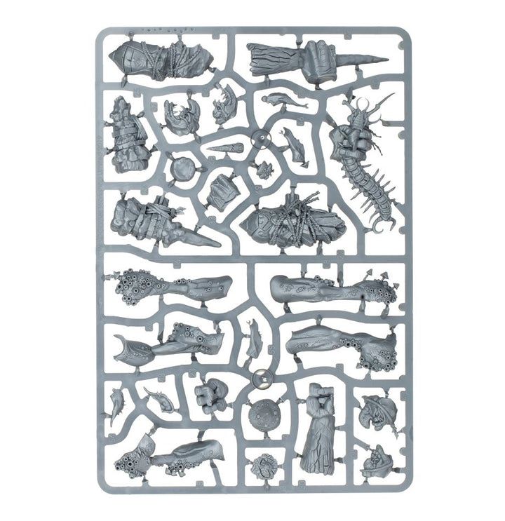 Warhammer Age of Sigmar: Gloomspite Gitz: Dankhold Rampage