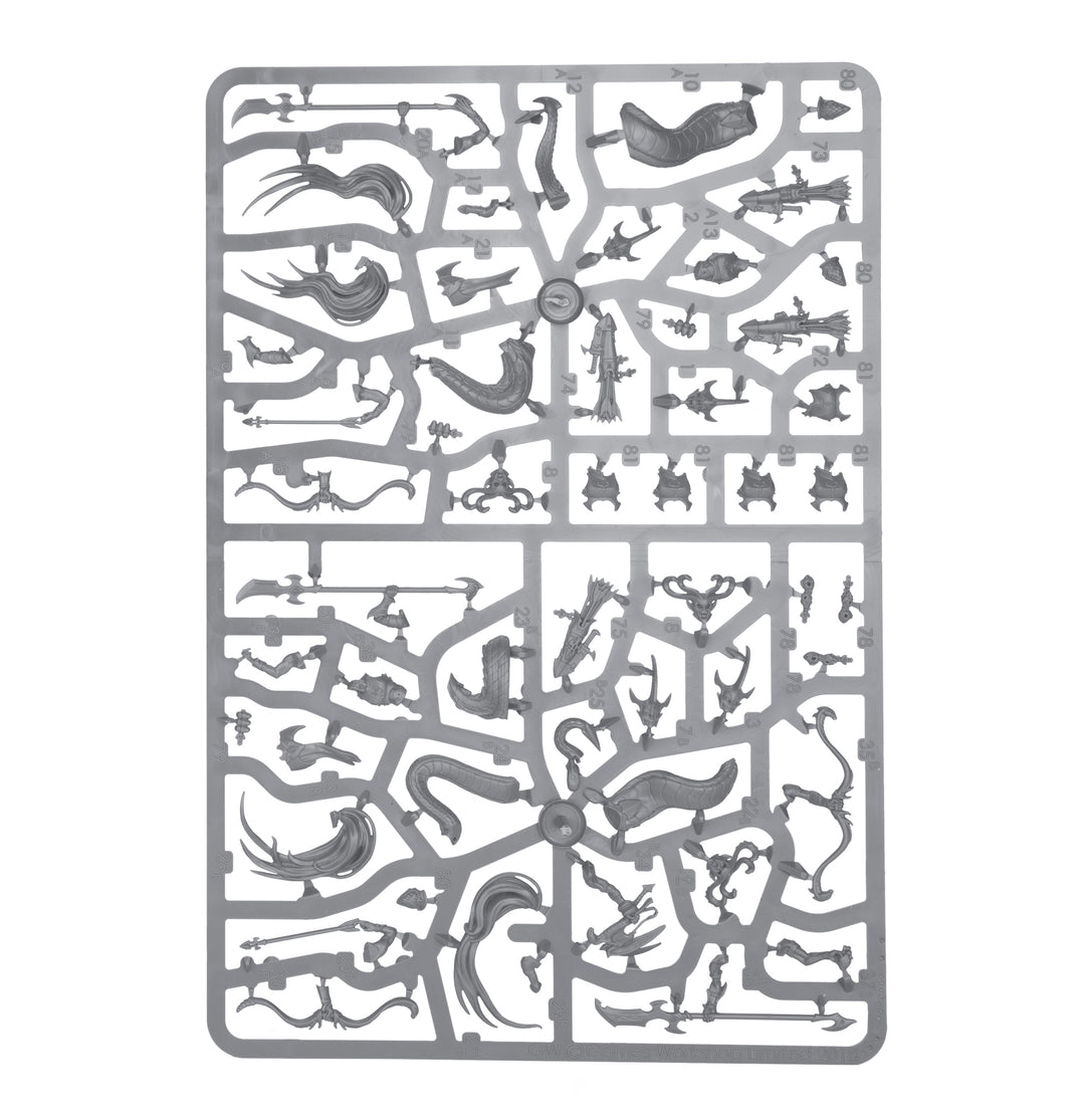 Warhammer Age of Sigmar: Daughters of Khaine – Scáthborn Coven Battleforce