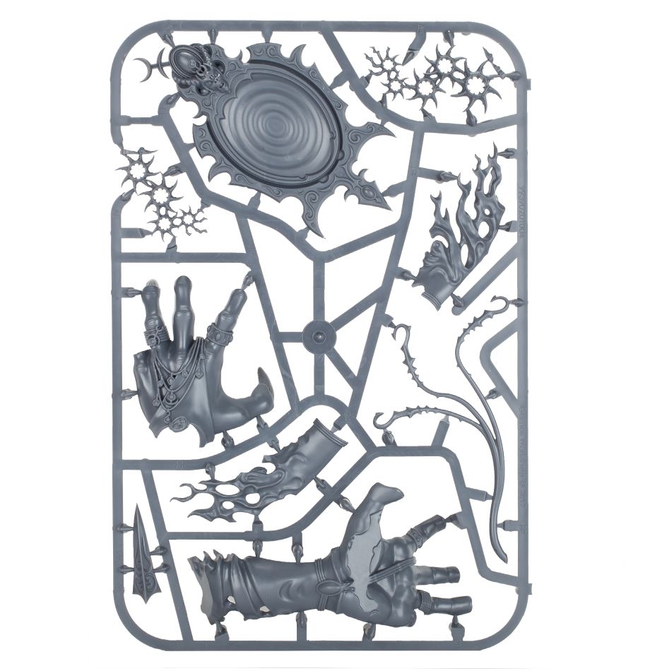Warhammer Age of Sigmar: The Accursed Reflection, Regiment of Renown