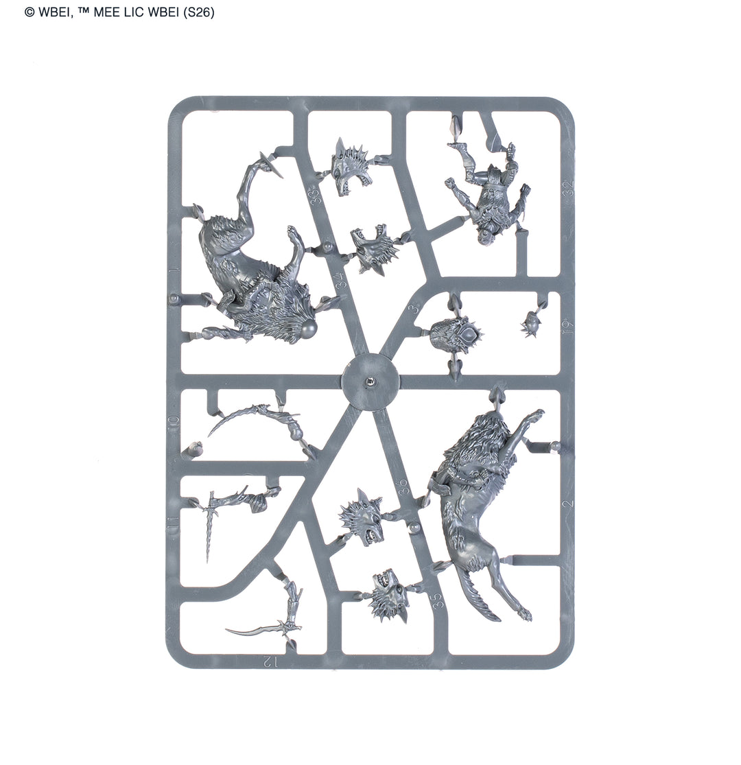 Middle-Earth Strategy Battle Game: Dol Guldur™ Battlehost