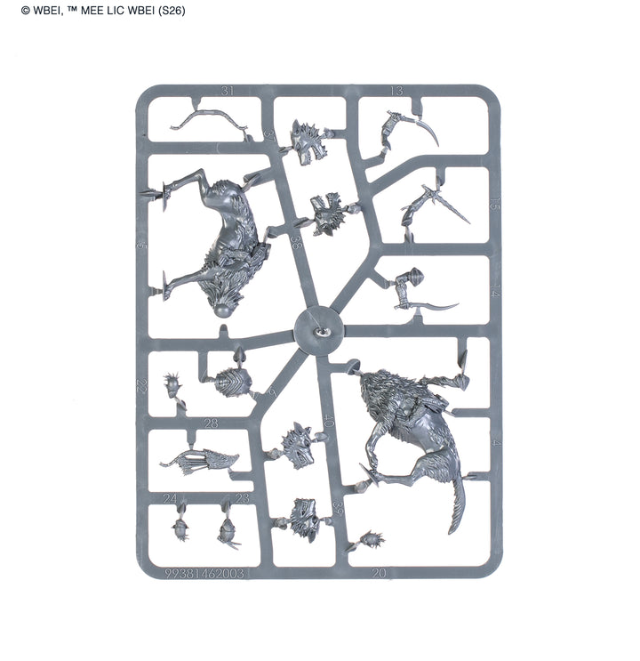 Middle-Earth Strategy Battle Game: Dol Guldur™ Battlehost
