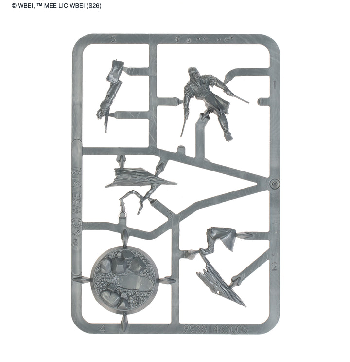 Middle-Earth Strategy Battle Game: Mirkwood™ Battlehost