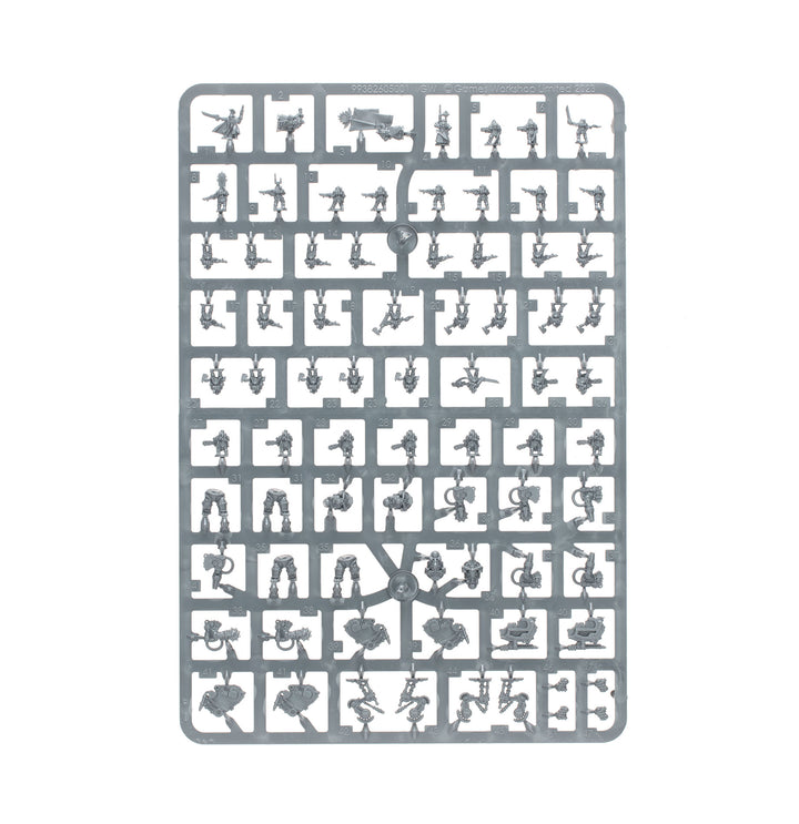 Legions Imperialis: Solar Auxilia Combat Force