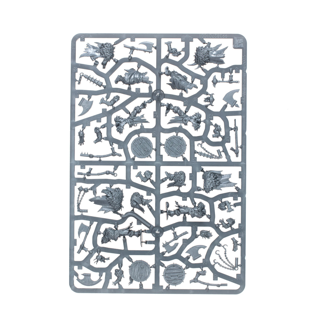 Warhammer: The Old World - Warriors of Chaos, Chaos Marauders