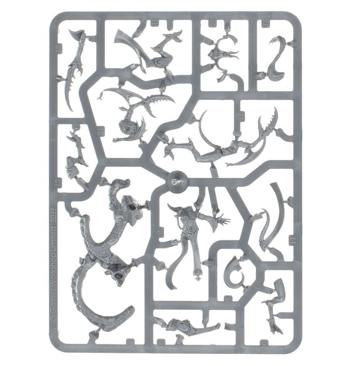 Warhammer Age of Sigmar: The Accursed Reflection, Regiment of Renown