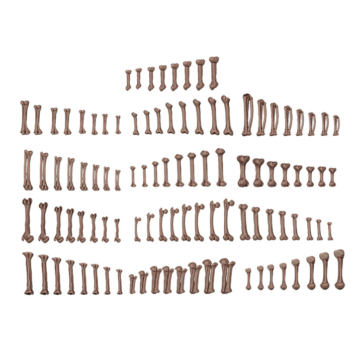 Human Bones – AK Basing Bits (AK Interactive) (AKBIT0013)