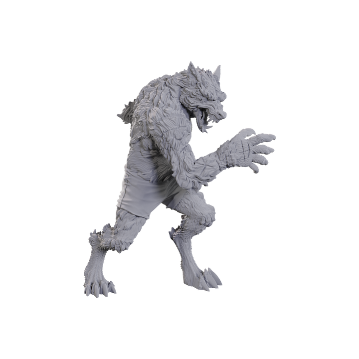 Critical Role Unpainted Miniatures: Chetney Pock O'Pea & Werewolf