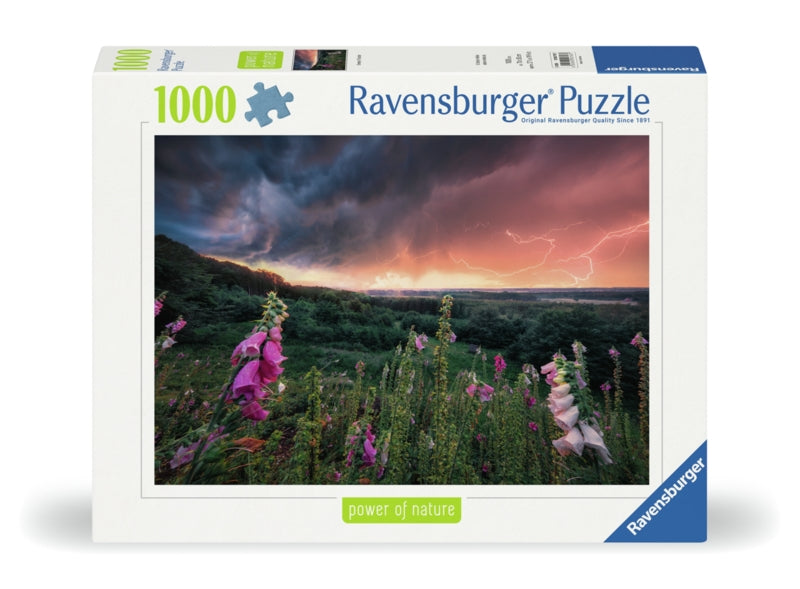 Dreamy Thunder (1000 brikker)