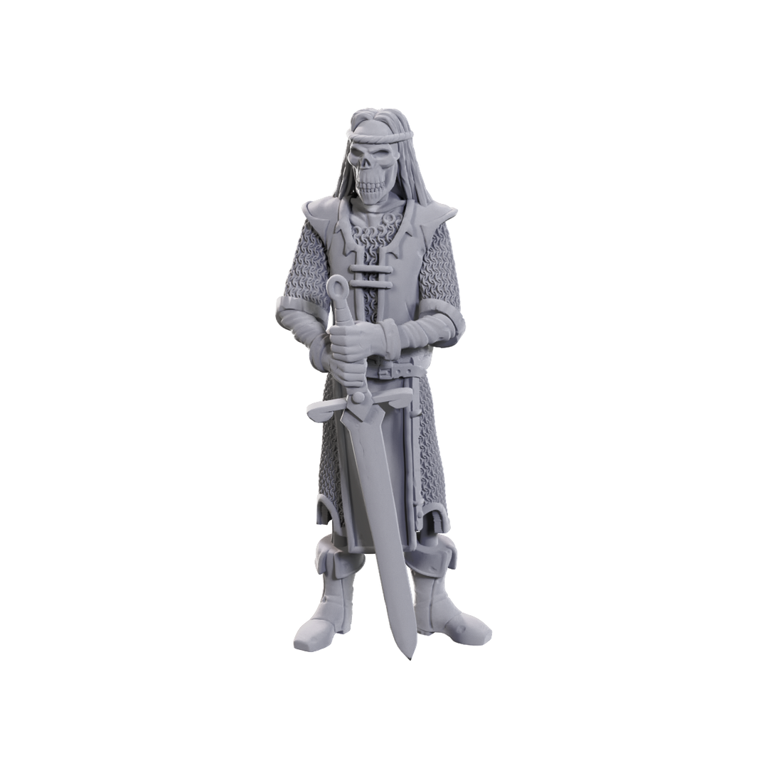 Dungeons & Dragons - Nolzur's Marvelous Miniatures: 50th Anniversary Skeleton Knights