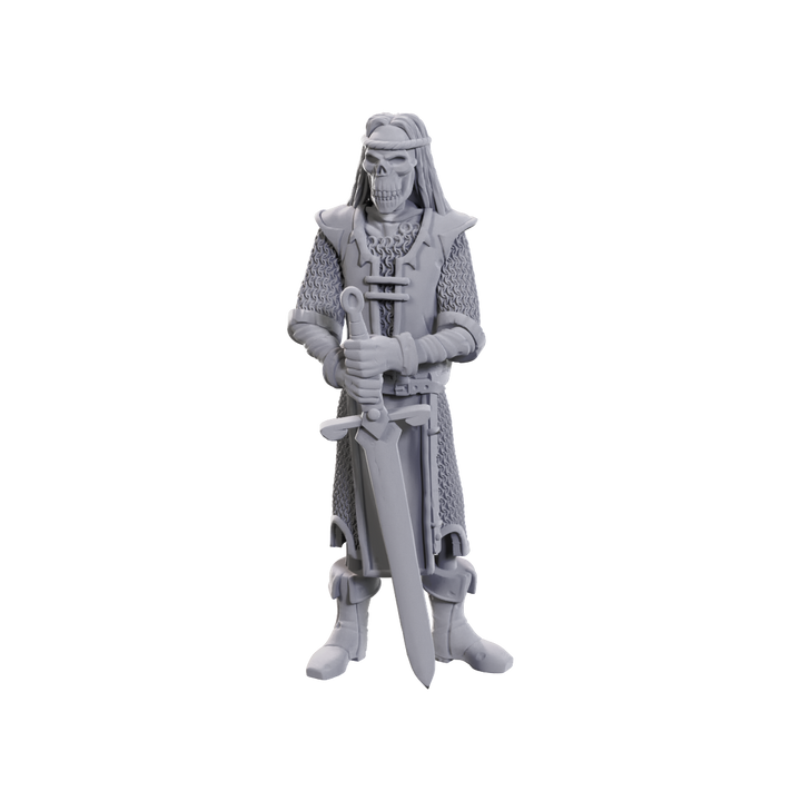 Dungeons & Dragons - Nolzur's Marvelous Miniatures: 50th Anniversary Skeleton Knights