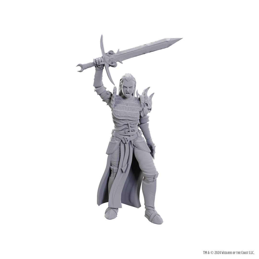 Dungeons & Dragons - Nolzur's Marvelous Miniatures: Blackguard
