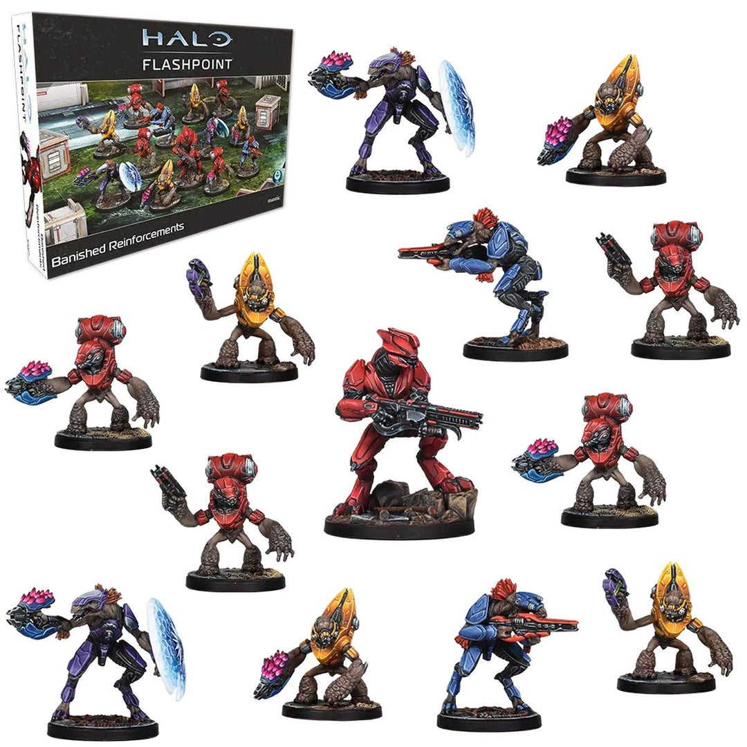 Halo: Flashpoint: Banished Reinforcements