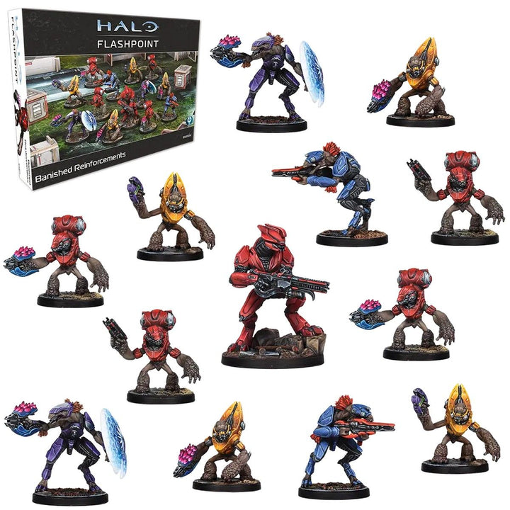 Halo: Flashpoint: Banished Reinforcements