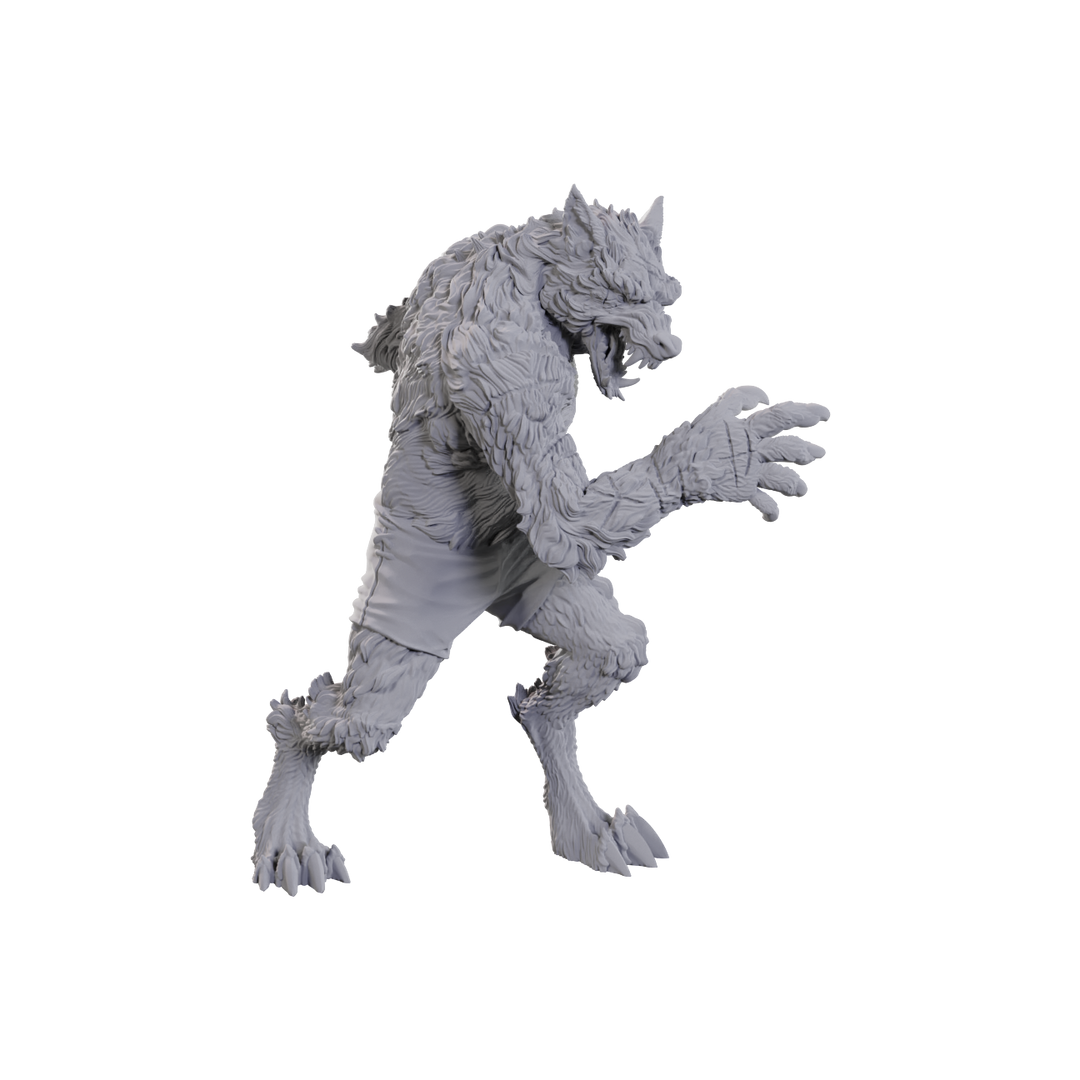 Critical Role Unpainted Miniatures: Chetney Pock O'Pea & Werewolf