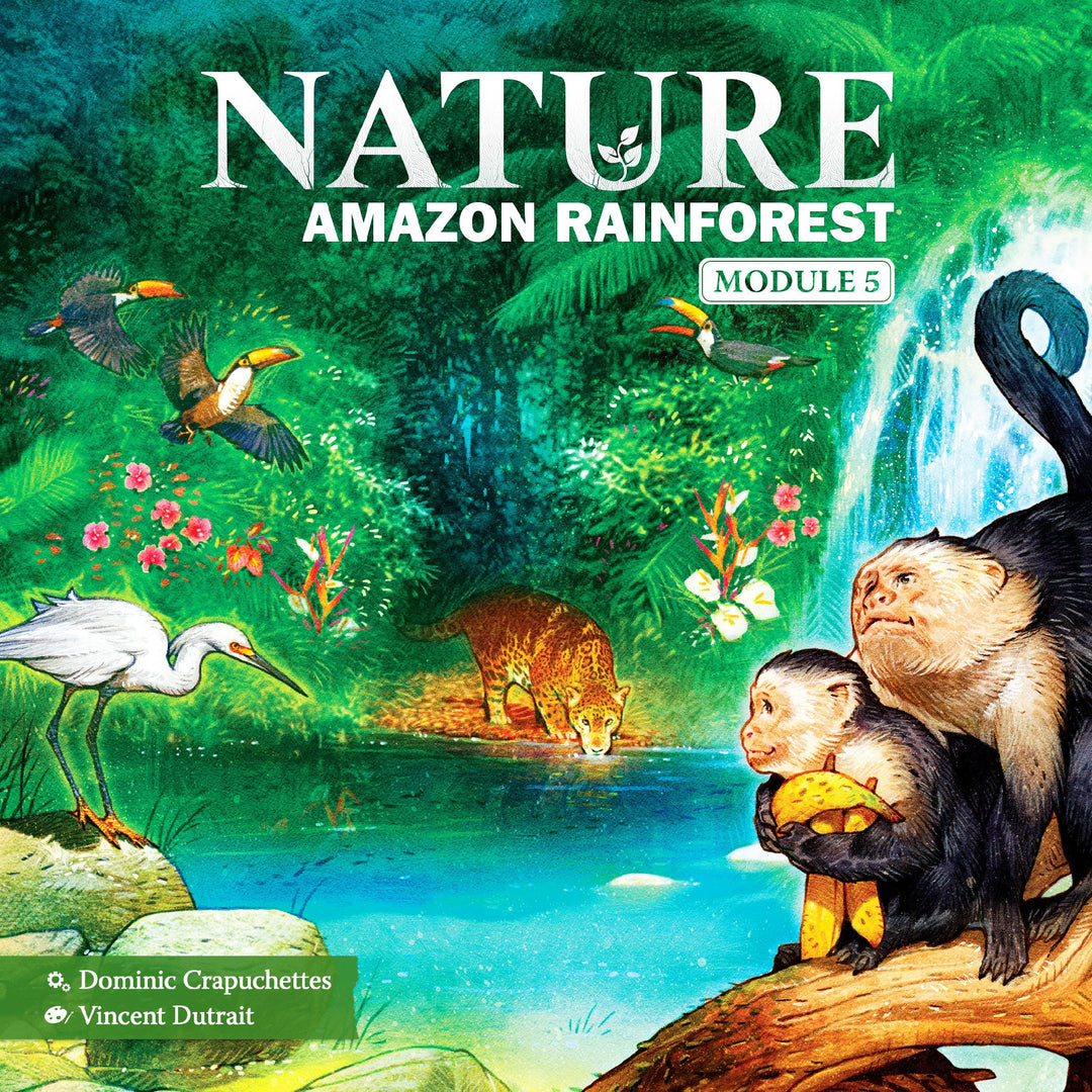 Nature: Amazon Rainforest