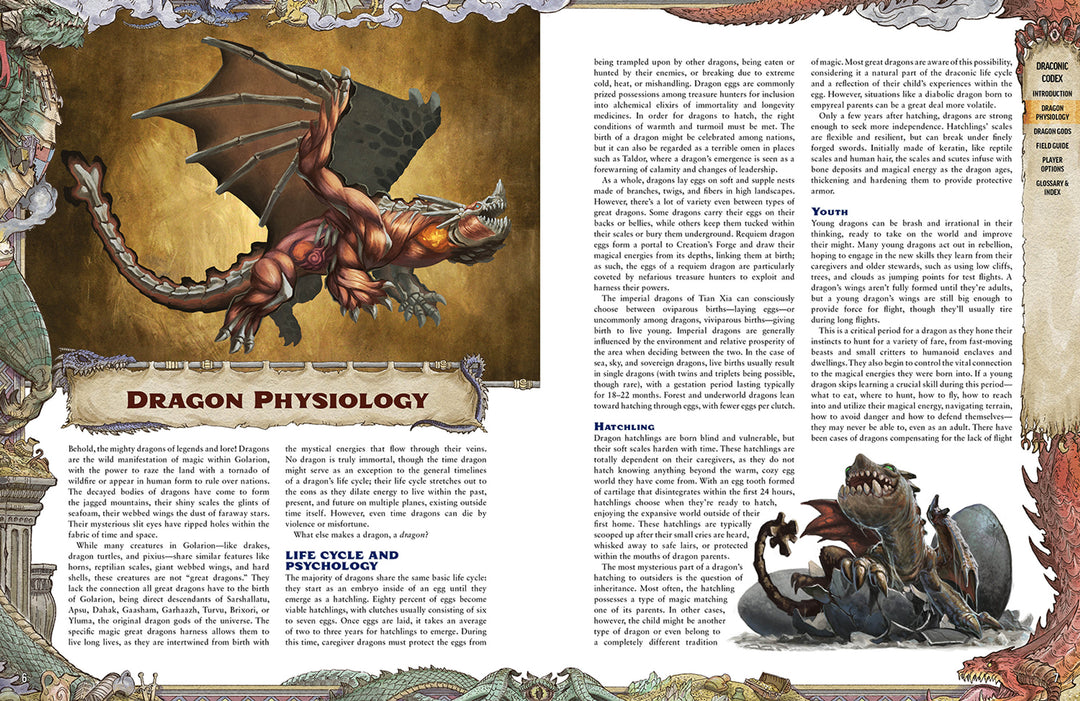 Pathfinder Lost Omens Draconic Codex (Special Edition)