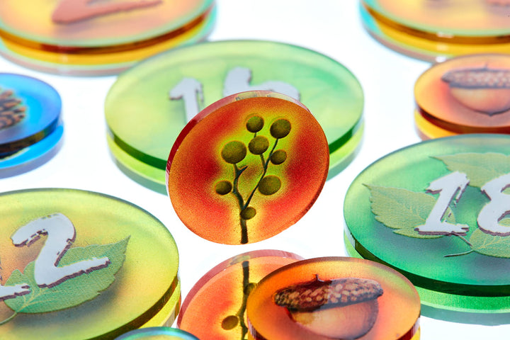 Photosynthesis Token Set (e-Raptor)