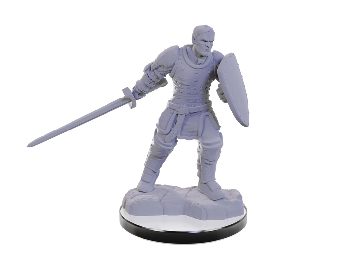 Dungeons & Dragons - Nolzur's Marvelous Miniatures: Reborn Paladin & Reborn Warlock