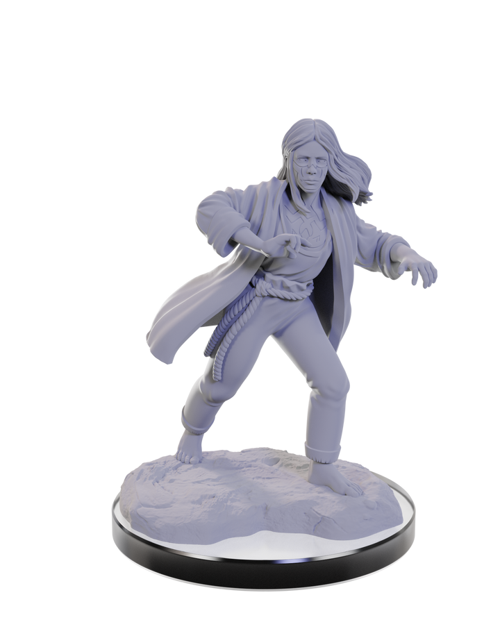 Dungeons & Dragons - Nolzur's Marvelous Miniatures: Reborn Paladin & Reborn Warlock