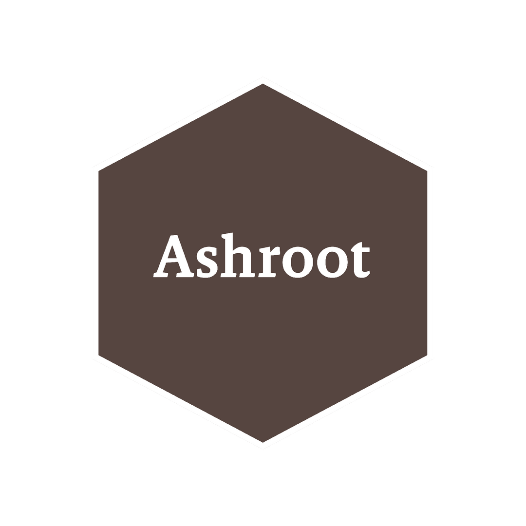 John Blanche Masterclass: Ashroot (The Army Painter) (WP4106P)