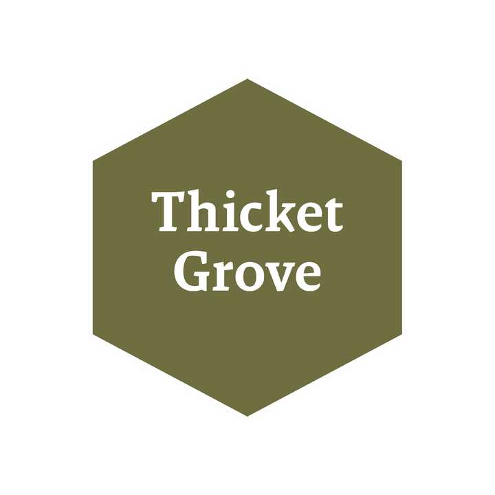 John Blanche Masterclass: Thicket Grove (The Army Painter) (WP4118P)