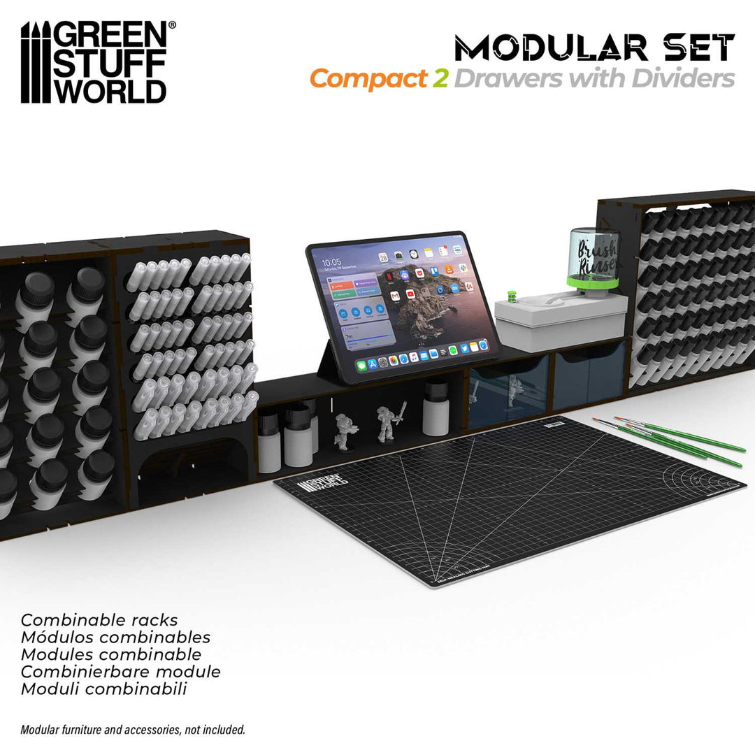 Black Compact Horizontal Organizer with 2 double drawers (Green Stuff World)