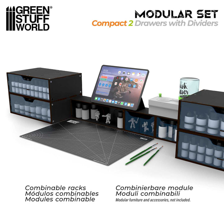 Black Compact Horizontal Organizer with 2 double drawers (Green Stuff World)
