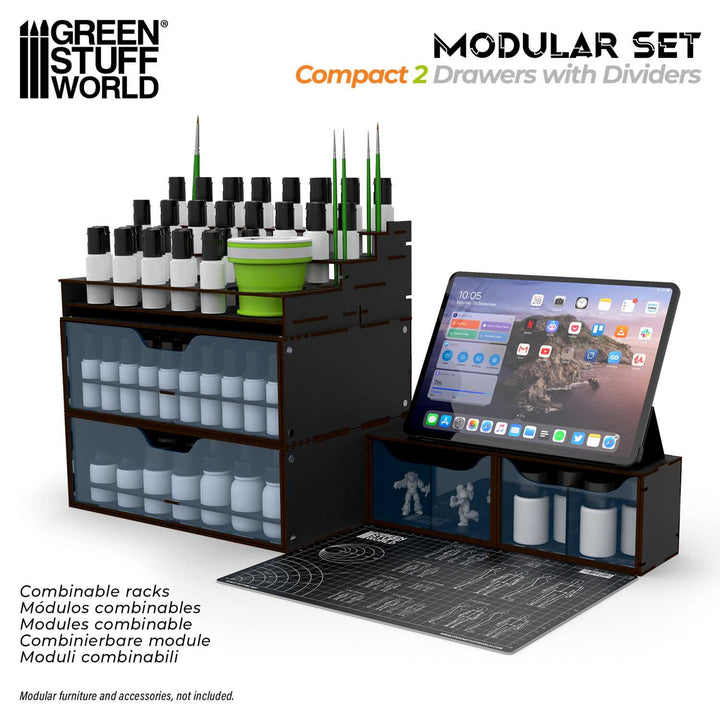 Black Compact Horizontal Organizer with 2 double drawers (Green Stuff World)