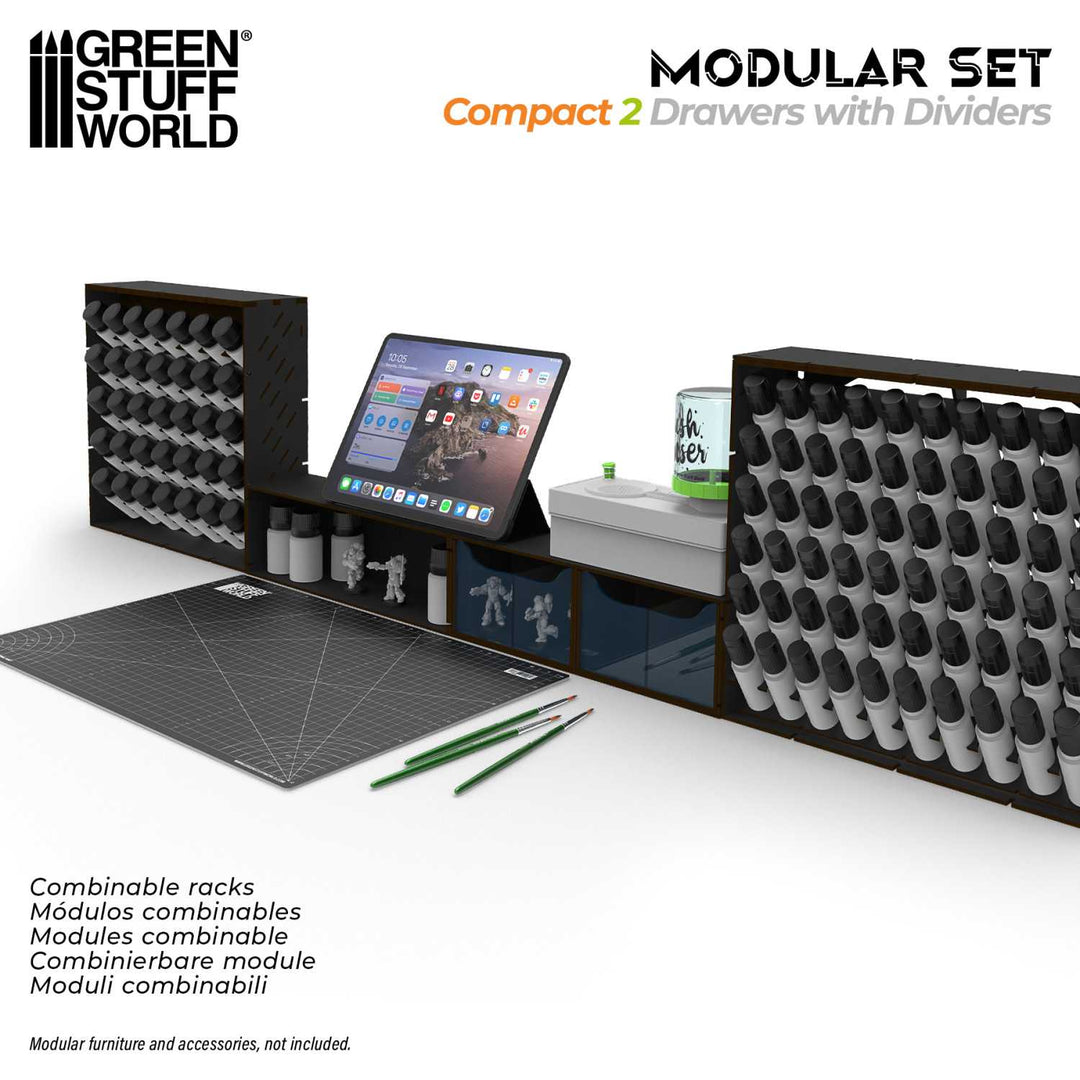 Black Compact Horizontal Organizer with 2 double drawers (Green Stuff World)