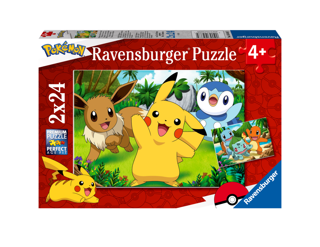 Pikachu and His Friends (2x24 brikker)