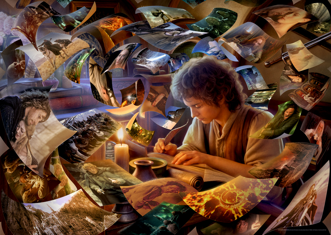 Frodo's Journey (1000 brikker)