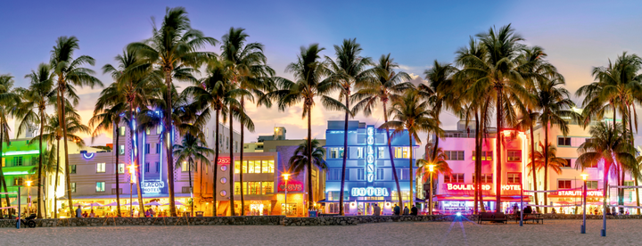 Night Glow on Ocean Drive (1000 brikker)