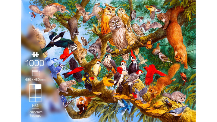 The Wildlife Collection - No. 2 - Temperate Treetops