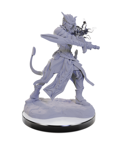 Dungeons & Dragons - Nolzur's Marvelous Miniatures: Tiefling Warlocks